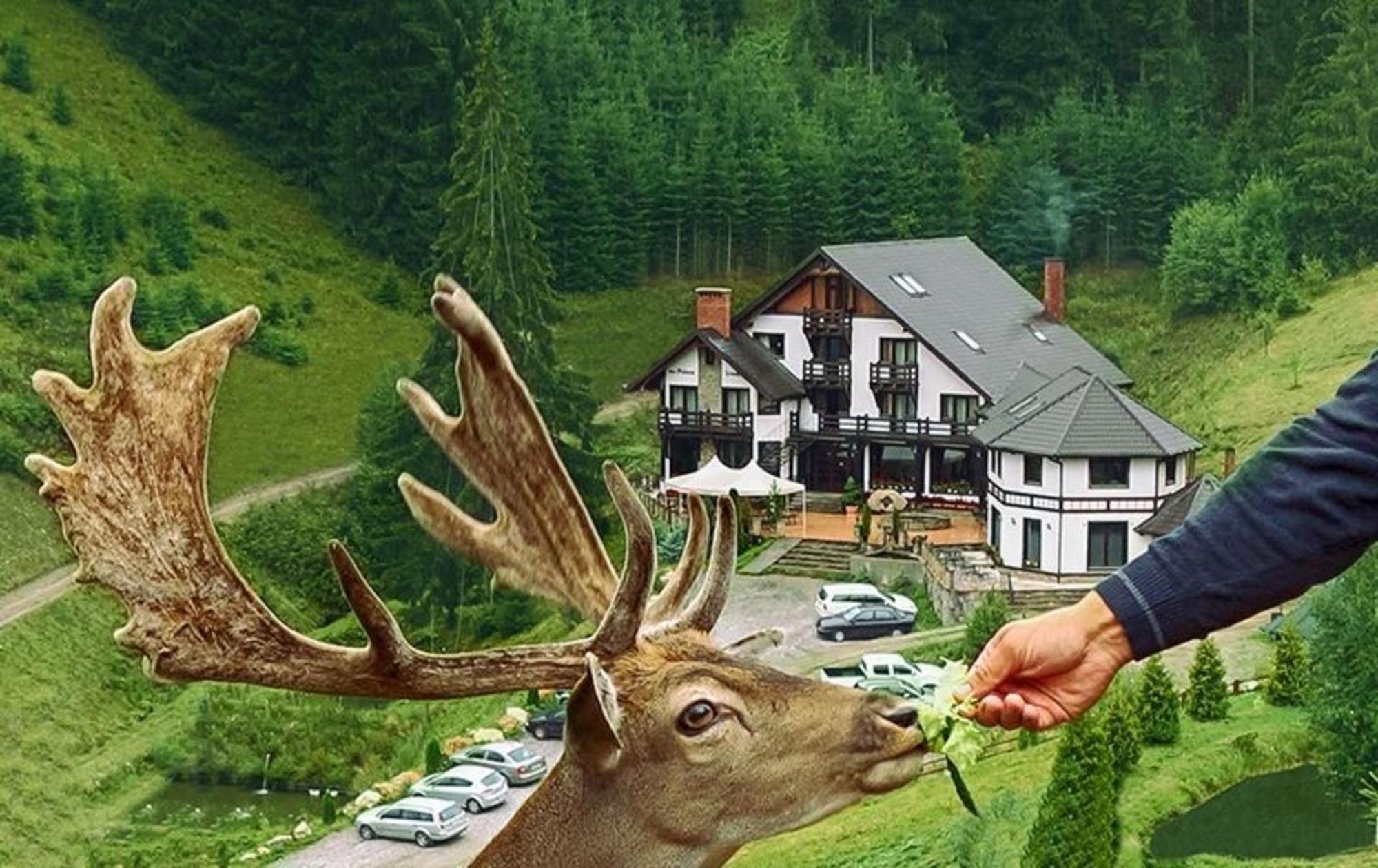 Pensiunea Poiana Izvoarelor Vatra Dornei Esterno foto