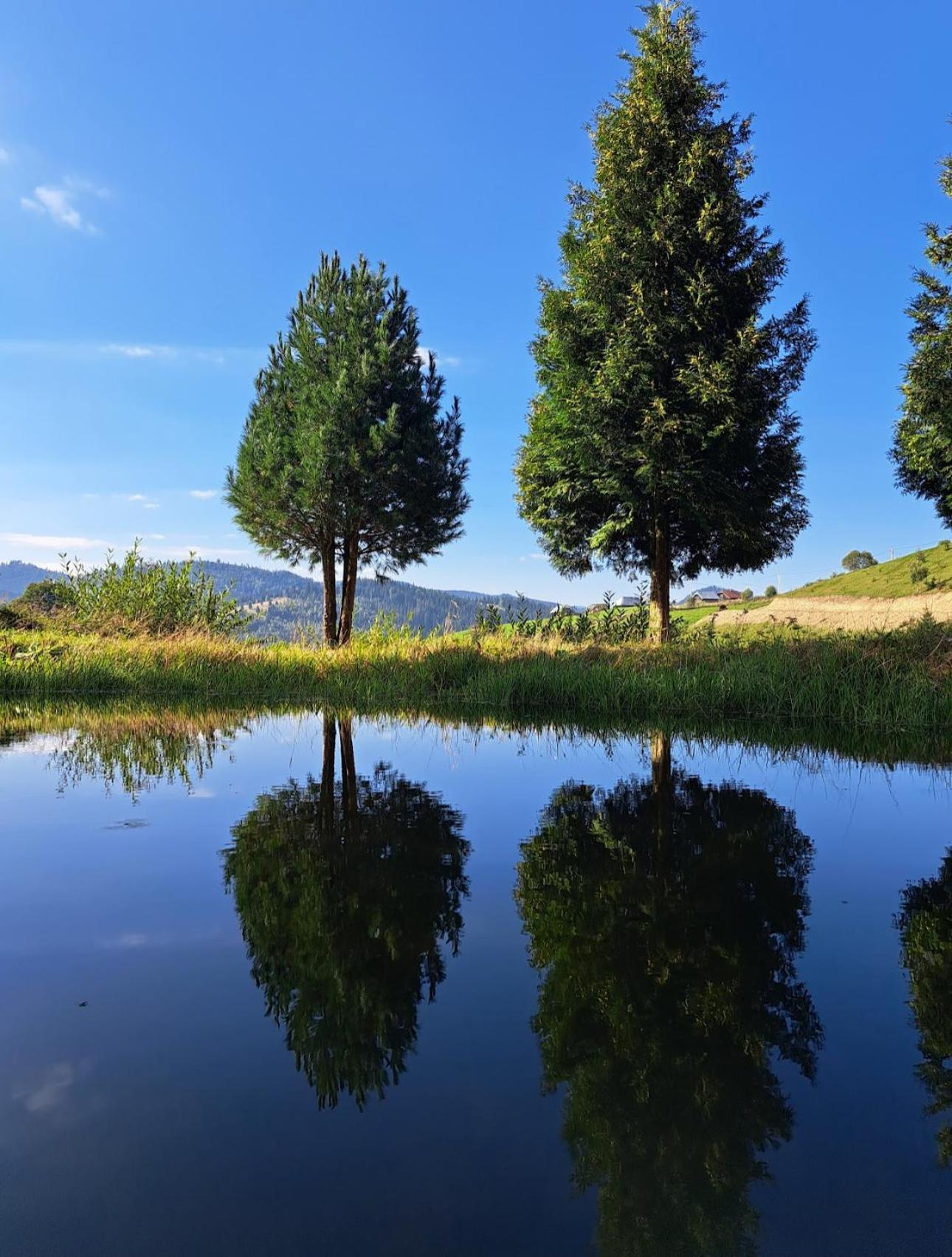 Pensiunea Poiana Izvoarelor Vatra Dornei Esterno foto
